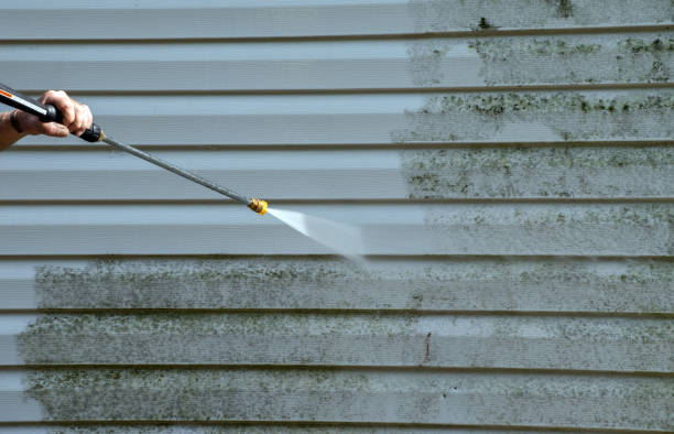 Best Sidewalk and Walkway Cleaning  in Iowa Falls, IA